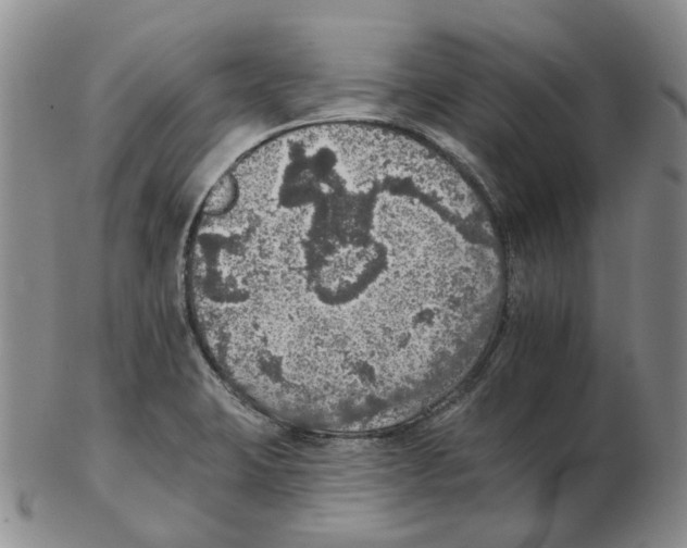 X0000102771423200809151028