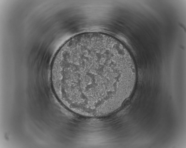 X0000102771424200809151028