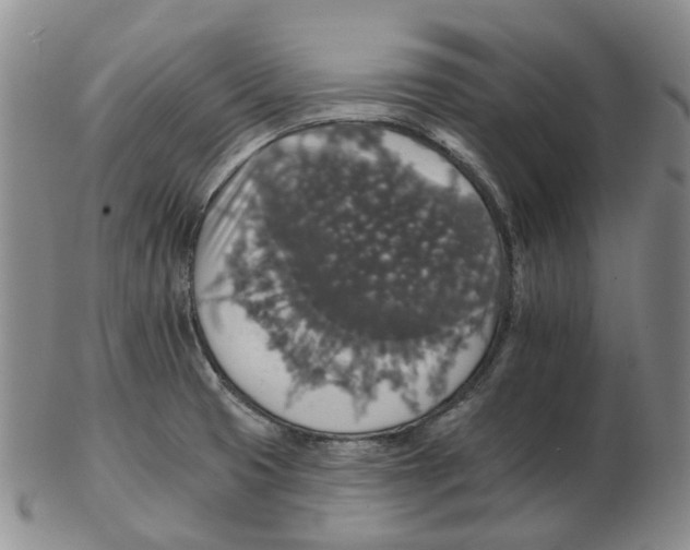 X0000102771425200809151028