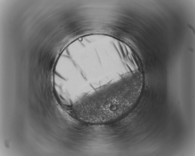 X0000102771428200809151028