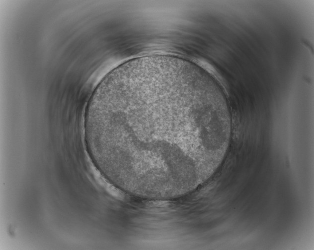 X0000102771431200809151028