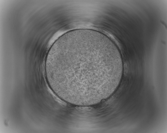 X0000102771432200809151028