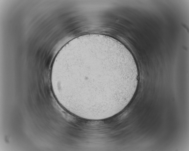 X0000102771434200809151028