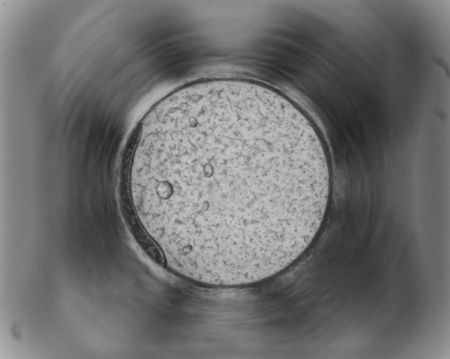 X0000102771437200809151028