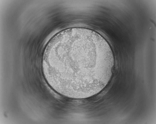 X0000102771438200809151028