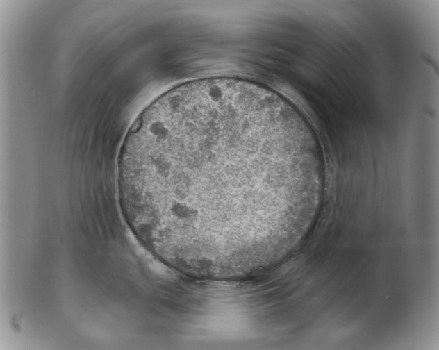 X0000102771439200809151028