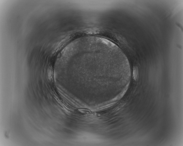 X0000102771444200809151027