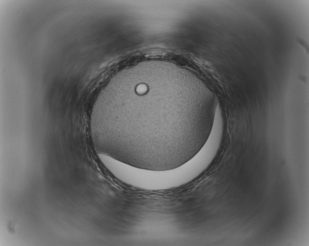 X0000102771445200809151027