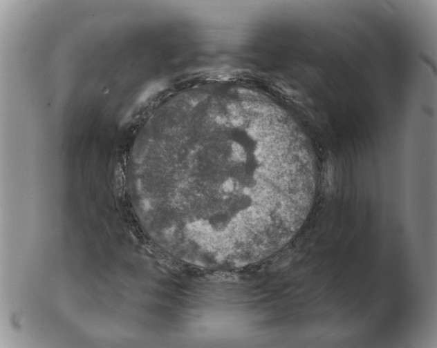 X0000102771446200809151027