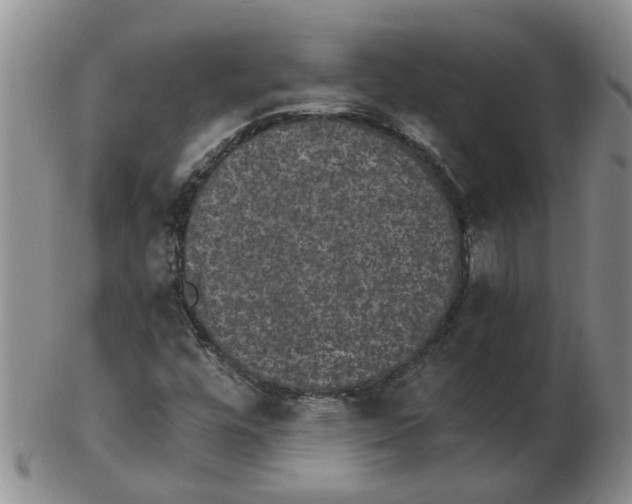 X0000102771448200809151027