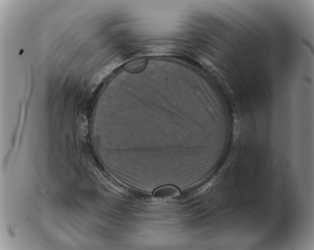 X0000102771449200809151027