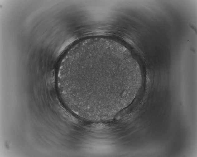 X0000102771450200809151027