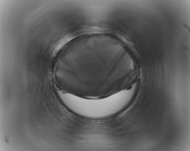 X0000102771453200809151027