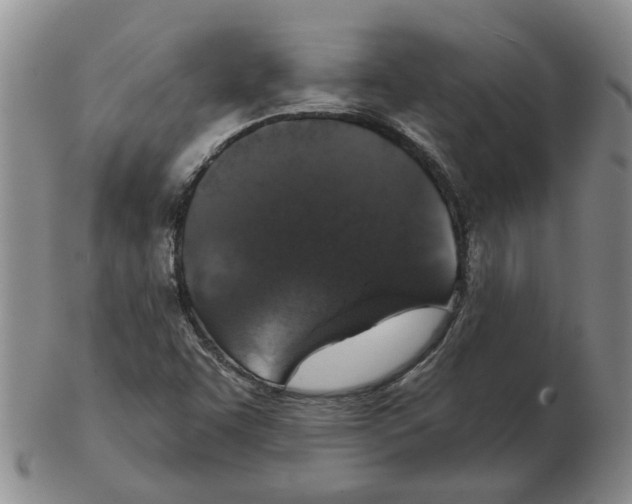 X0000102771455200809151027