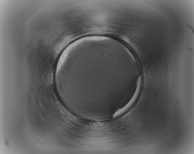 X0000102771459200809151027