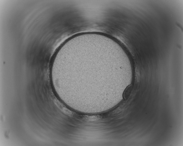 X0000102771460200809151027