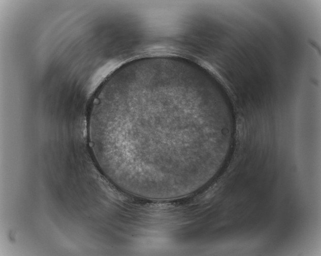 X0000102771461200809151027