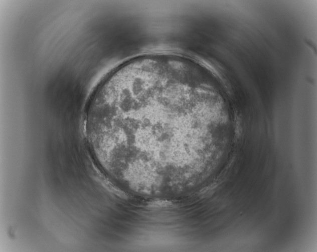 X0000102771462200809151027