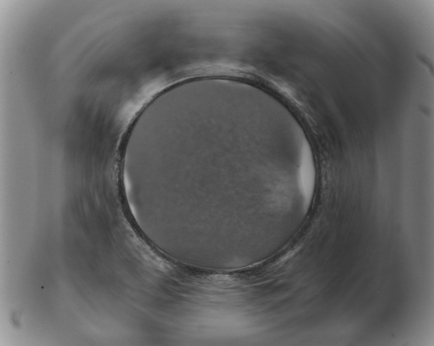 X0000102771463200809151027