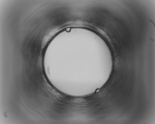 X0000102771464200809151027