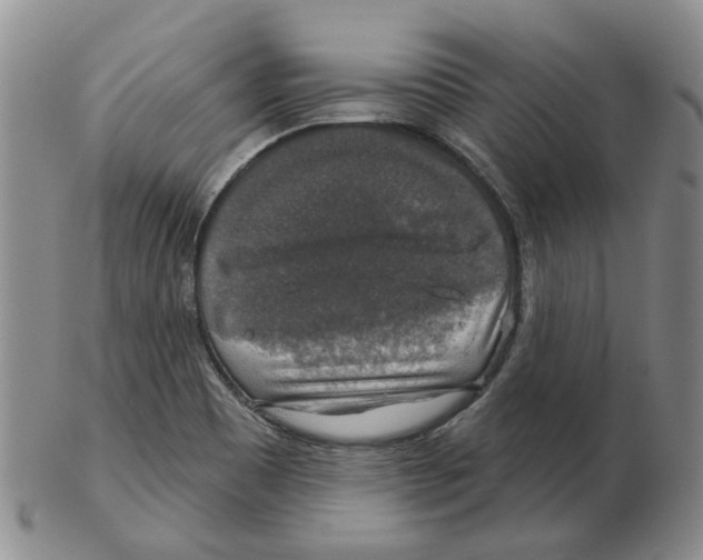 X0000102771465200809151027