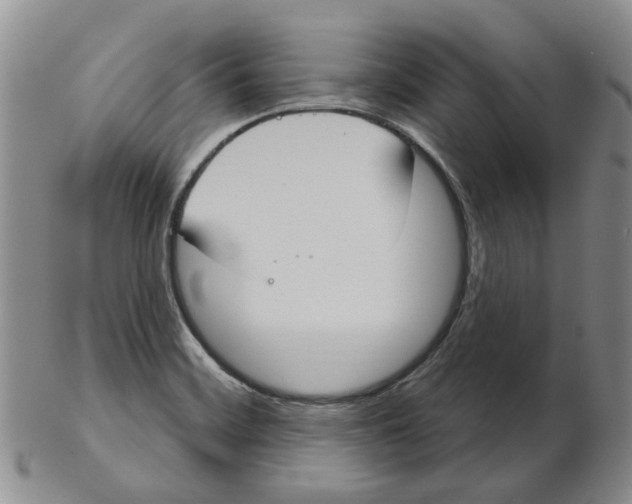 X0000102771468200809151027