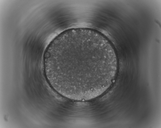 X0000102771469200809151027