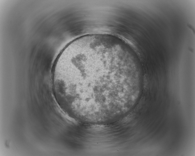 X0000102771470200809151027