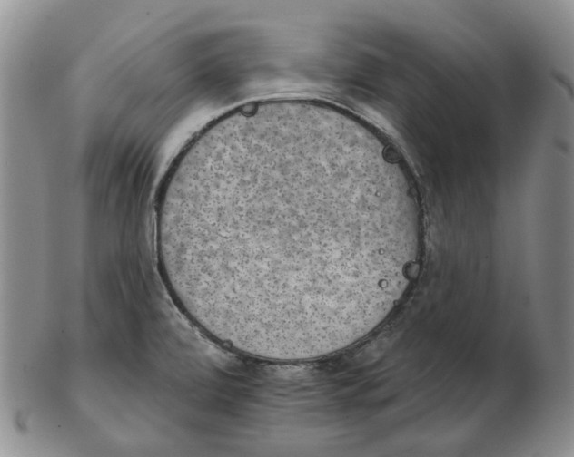 X0000102771472200809151027