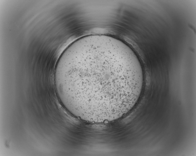 X0000102771473200809151027