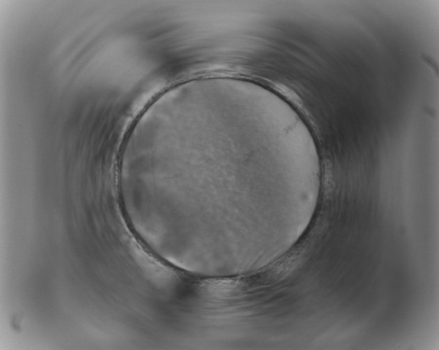 X0000102771474200809151027