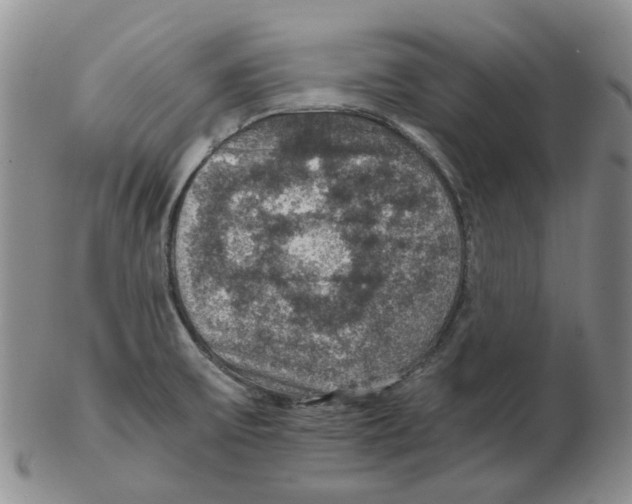 X0000102771475200809151027