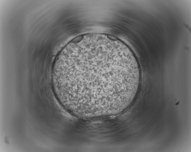 X0000102771477200809151027