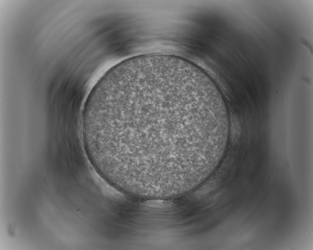 X0000102771478200809151027