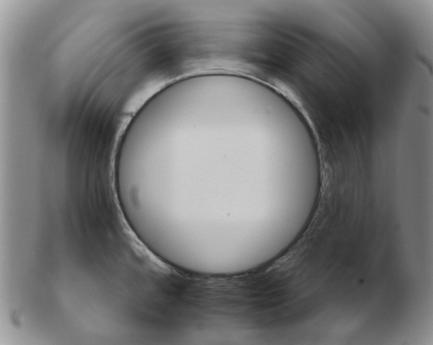 X0000102771480200809151027