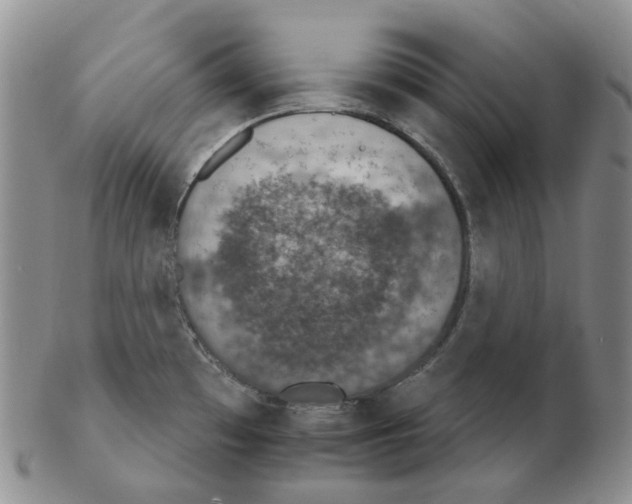 X0000102771481200809151027