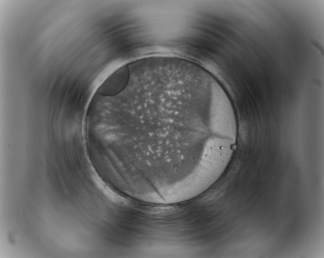 X0000102771482200809151027