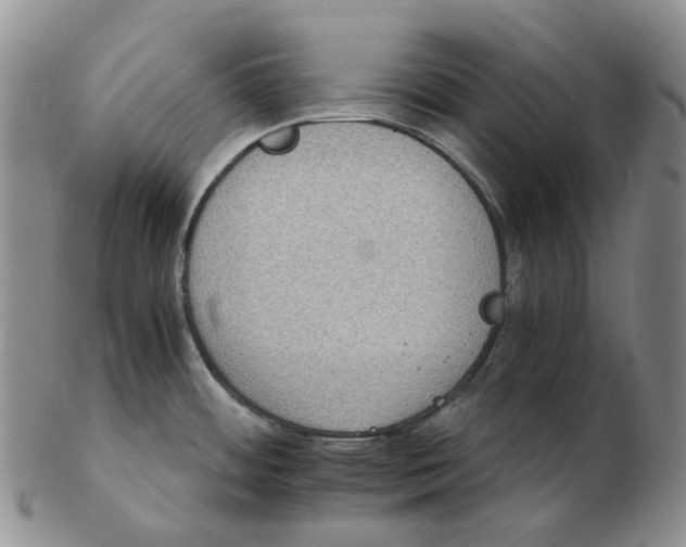 X0000102771484200809151027