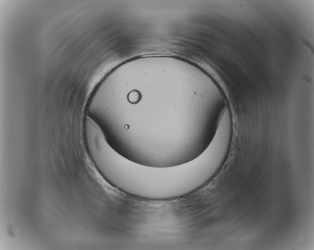 X0000102771485200809151027