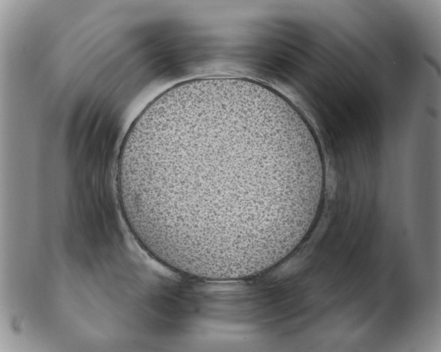 X0000102771486200809151027