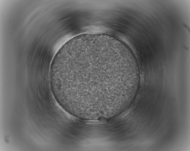 X0000102771487200809151027