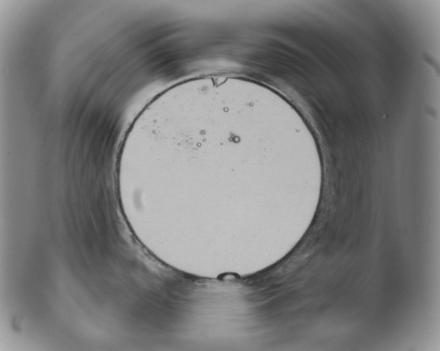 X0000102771488200809151027