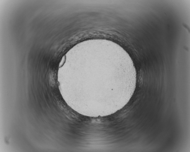 X0000102771490200809151026