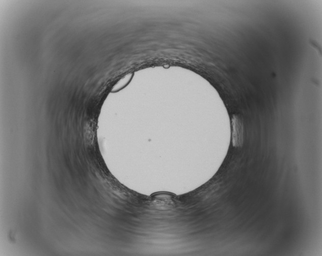 X0000102771491200809151026