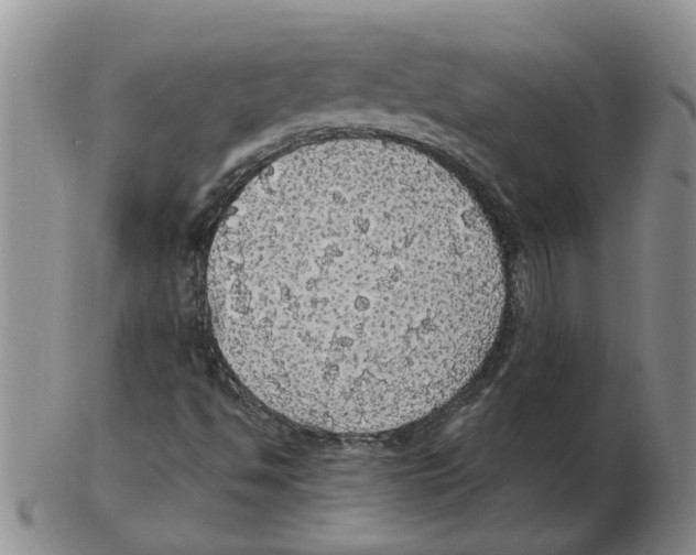 X0000102771494200809151026