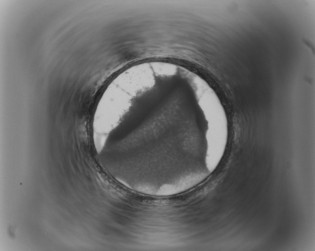 X0000102771497200809151026