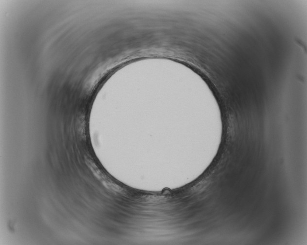 X0000102771499200809151026