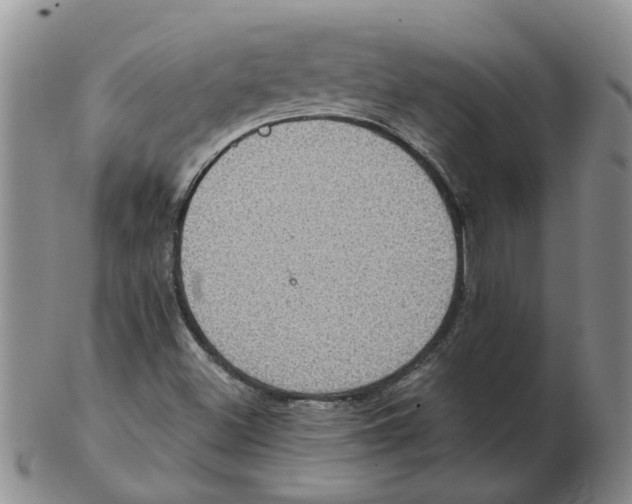 X0000102771500200809151026