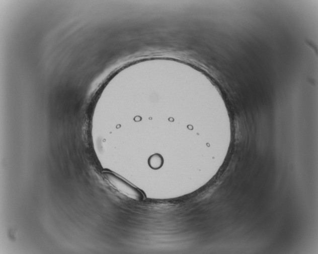 X0000102771502200809151026