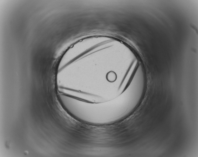 X0000102771504200809151026